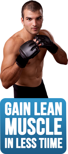 gain lean muscle with the martial arts